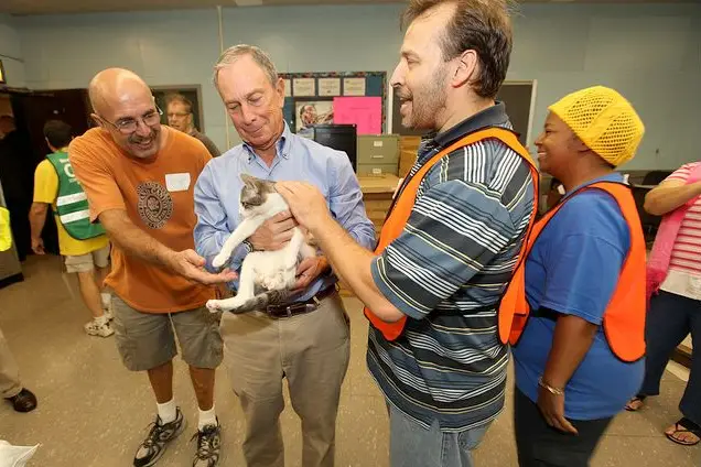 Mayor Bloomberg with a cat at a Hurricane Irene evacuation center